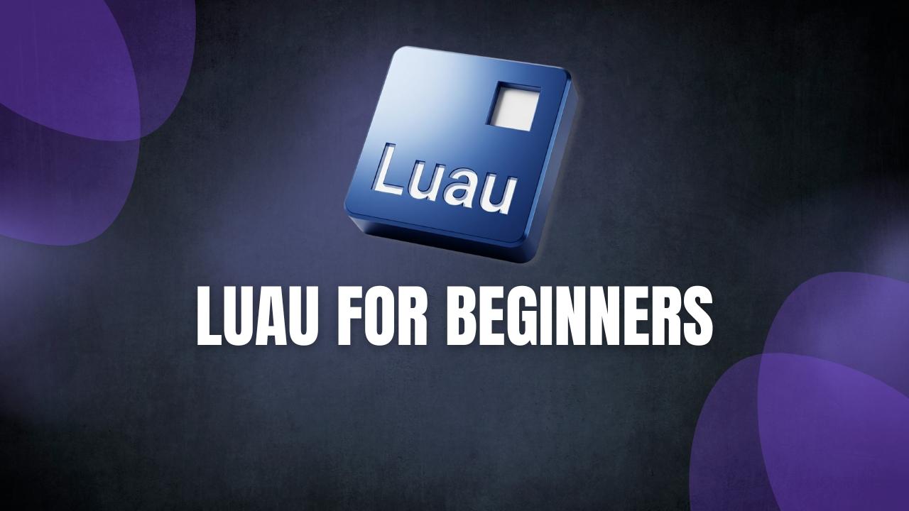 Luau for beginners